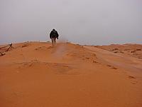 coral pink dunes (10).JPG